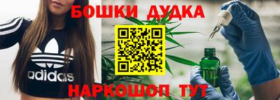 прущие крисы Сланцы