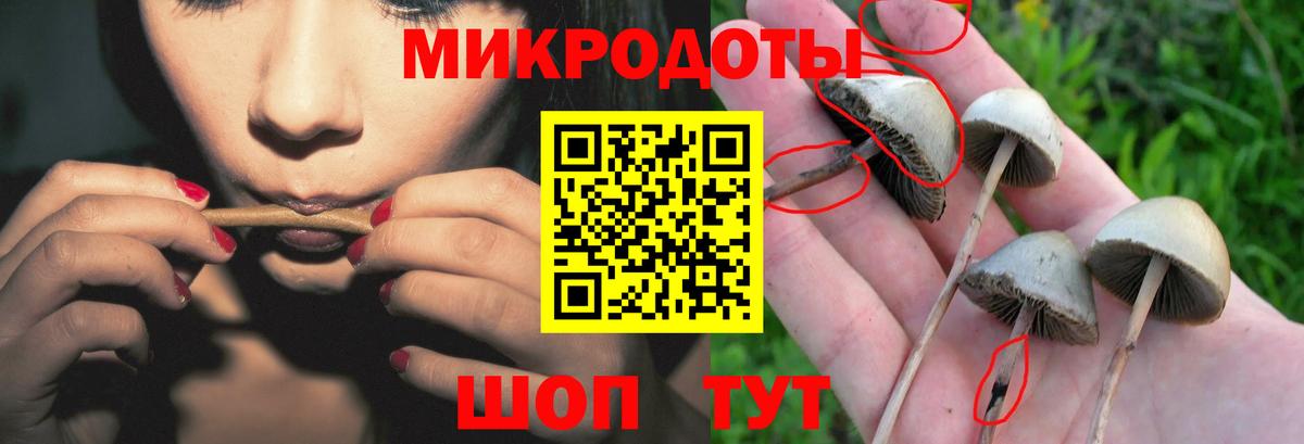 закладка  Псилоцибиновые грибы Magic Shrooms  Псилоцибиновые грибы GOLDEN TEACHER  Вход с VPN  Нижний Тагил 